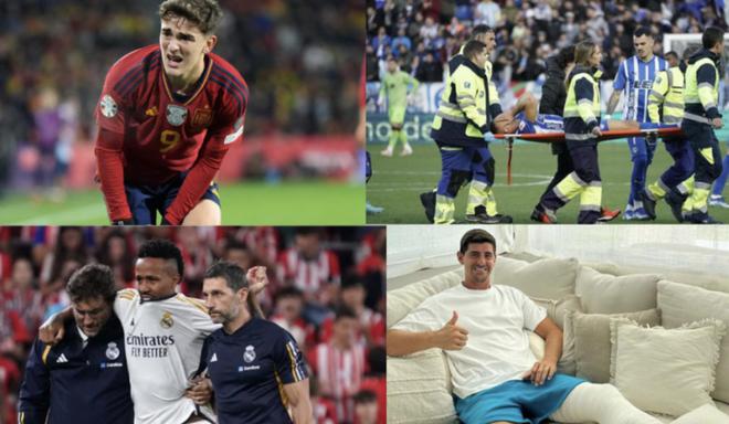 人的视觉效 人的视觉效